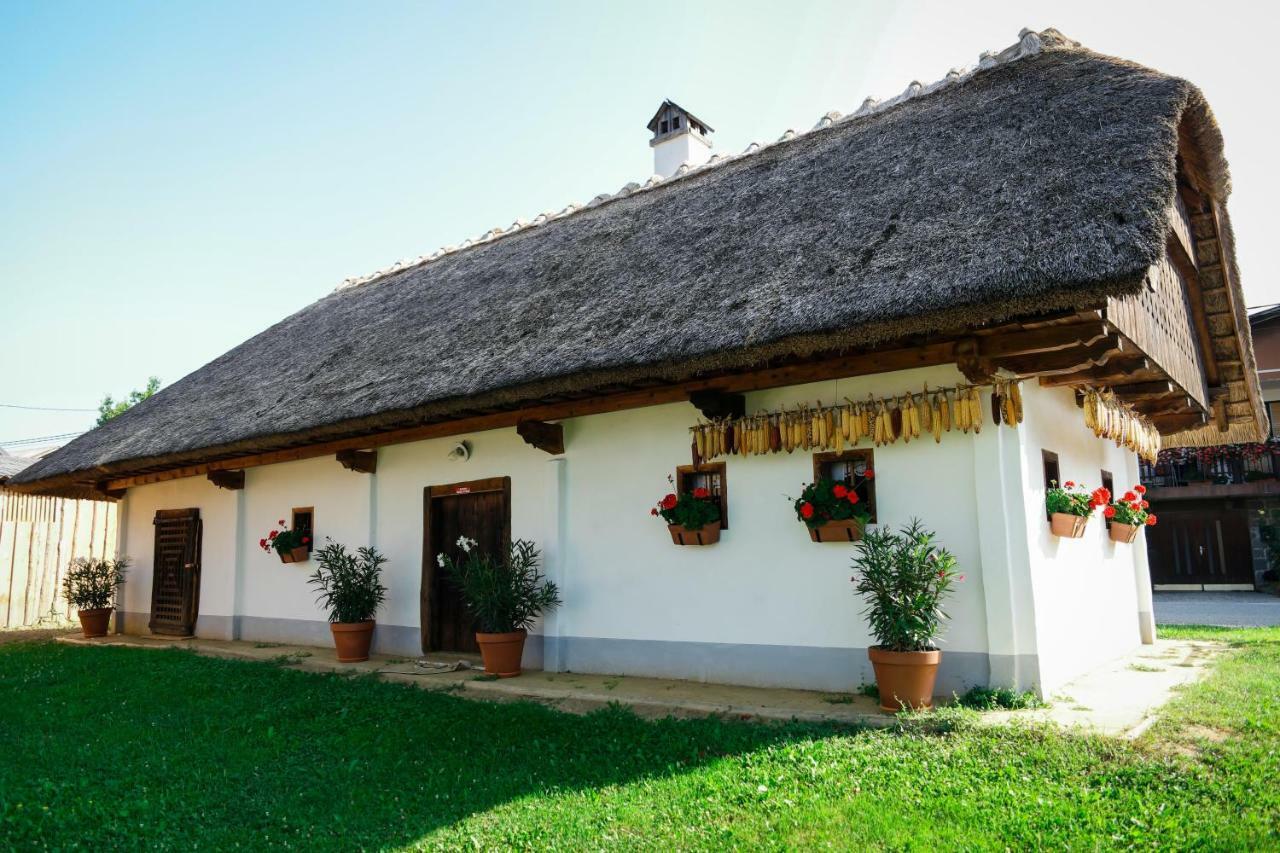 Hrgova Hiska Guest House Ptuj Exterior photo